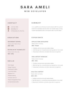 web developer resume