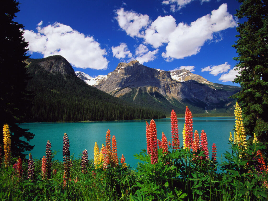 yoho national park hiking destinations