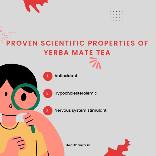 yerba mate tea bags scientific properties